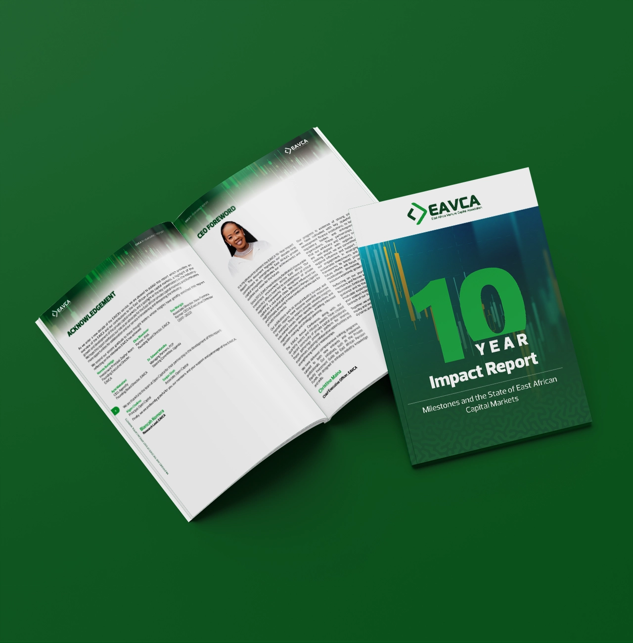 EAVCA 10 Year Impact Report Design
