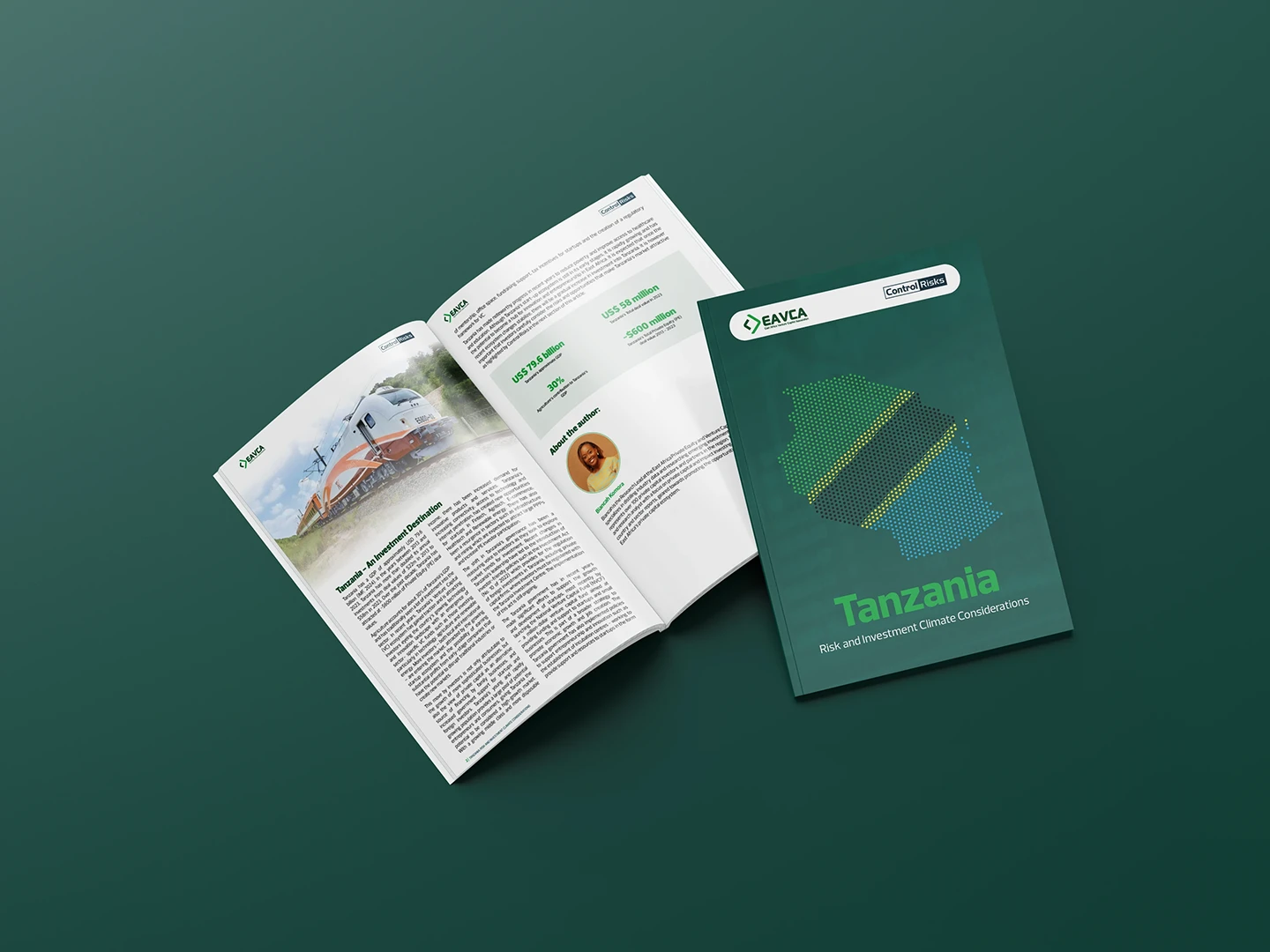 Tanzania – Risk and Investment Climate Considerations Publication