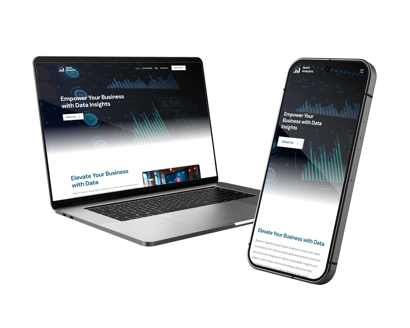 Spark Analytics Website